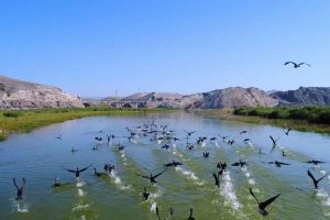 Nallihan Kus Cenneti bird sanctuary